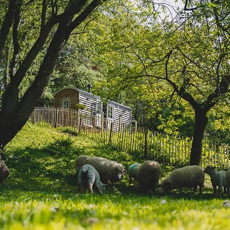 Somerset Shepherds Huts Winsham Exterior photo