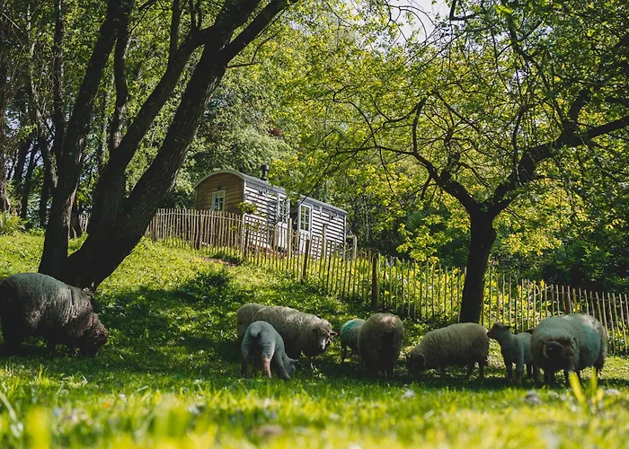 Somerset Shepherds Huts